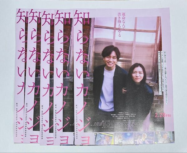 中島健人 映画 知らないカノジョ フライヤー 5枚セット G