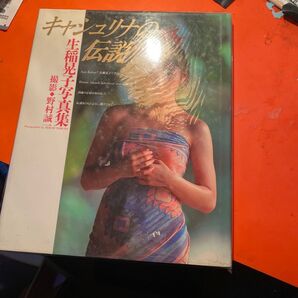 生稲晃子 写真集 キャッシュリナの伝説