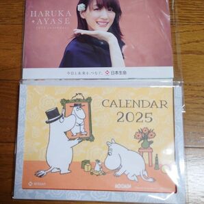 綾瀬はるか&ムーミン 2025卓上カレンダー