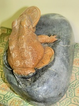 【観賞用彫刻石】・『石の上のカエル彫刻』・箱付_画像10
