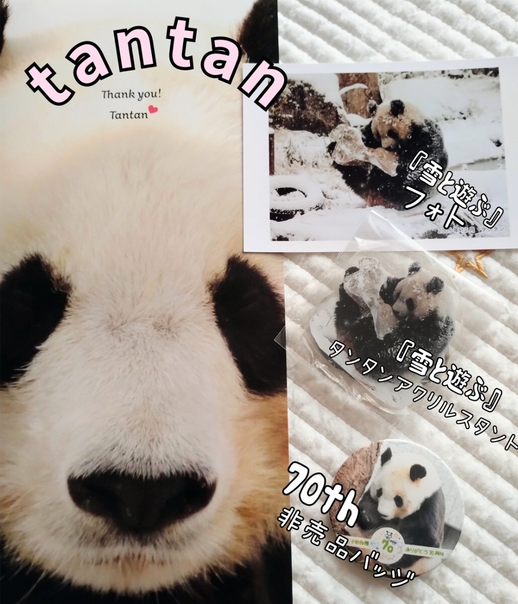 Yahoo!オークション -「タンタン」(パンダ) (動物)の落札相場 Yahoo!オークション -「タンタン」(パンダ) (動物)の落札相場