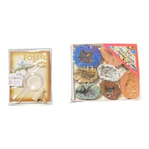 送料無料! 鉱石・鉱物・天然石 オーラクオーツジオード / おまけサメの歯の化石 開運・魔除け