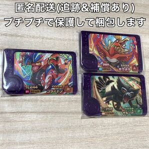 フレンダ コライドン ホウオウ ザルード ★3点セット★