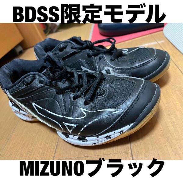 ミズノ BDSS 限定 バドミントンシューズ 黒