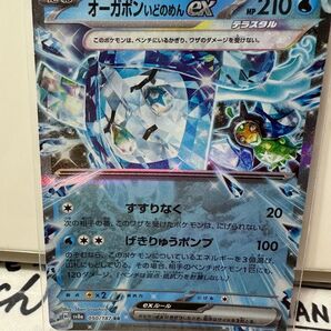 テラスタルフェスex オーガポン いどのめんex