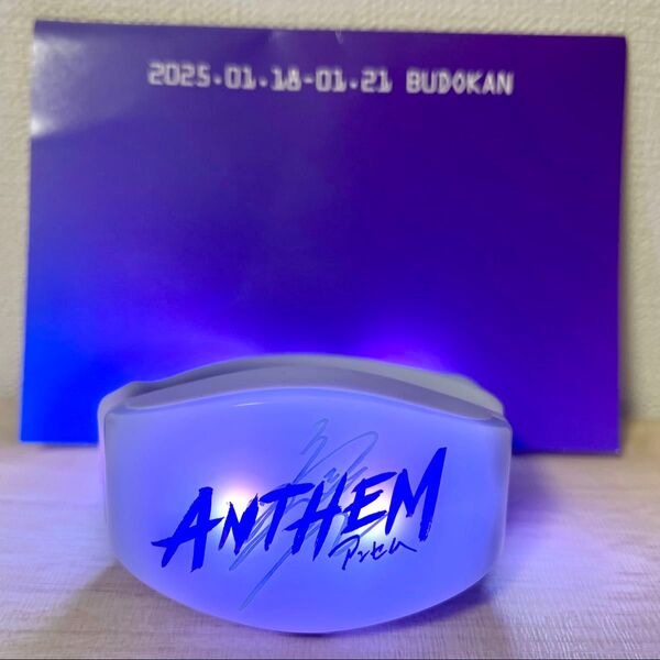宝塚歌劇 星組 『ANTHEM―アンセム―』 連動型ブレスレットライト 礼真琴 コンサート グッズ ペンライト 推しクーポン