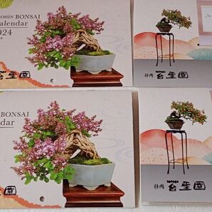 盆栽カレンダー2024年 と 2025年 同じ物2冊づつ 送料込み