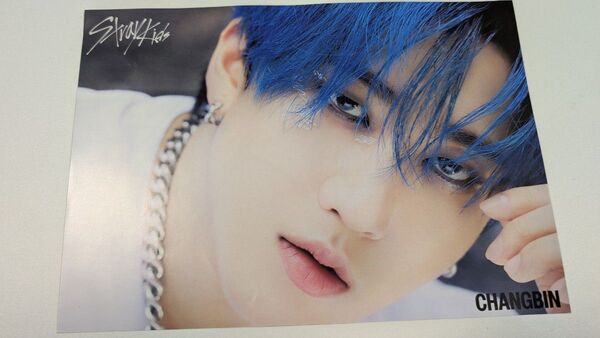 StrayKids skz SKZ チャンビン Changbin タワレコ フライヤー HOP hop 合