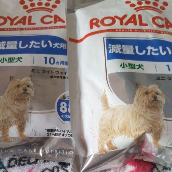 ロイヤルカナン 小型犬 フード 50g 2個