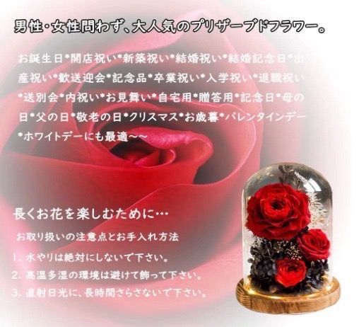 YKFN プリザーブドフラワー ガラスポット ドライフラワー