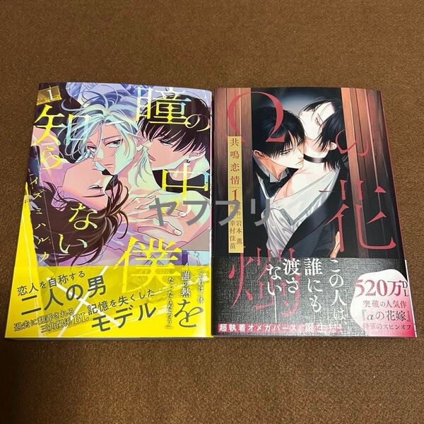 イズミハルカ 瞳の中の僕を知らない1 岩本薫 幸村佳苗 Ωの花燭 共鳴恋情1