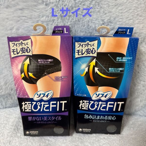 ※034 L サニタリーショーツ ソフィ 極ぴたFIT 2枚セット