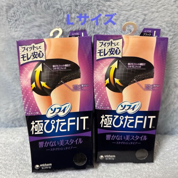 ※037 L サニタリーショーツ ソフィ 極ぴたFIT 2枚セット