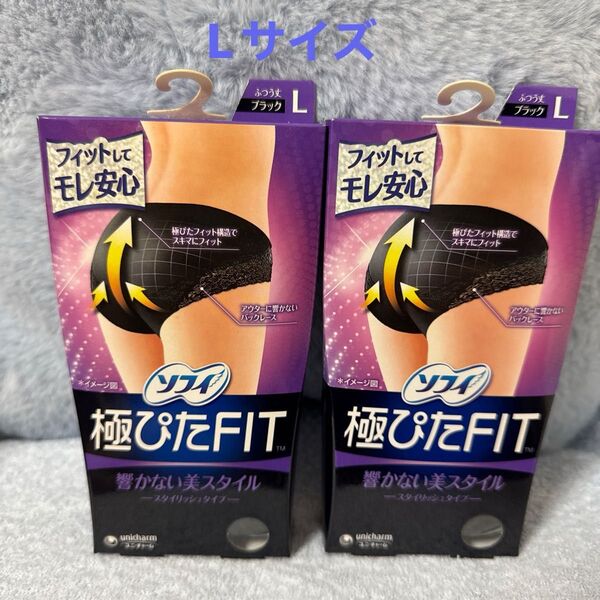 ※043 L サニタリーショーツ ソフィ 極ぴたFIT 2枚セット