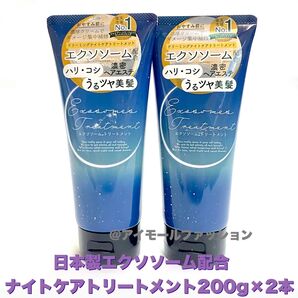 日本製エクソソーム配合 ドリーミングナイトケアトリートメント200g×2本