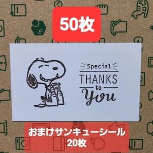 メッセージカード 50枚 おまけ付き