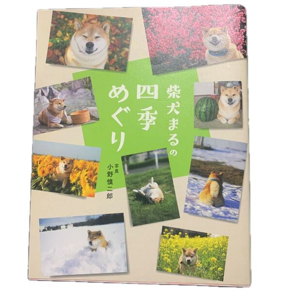 柴犬まるの四季めぐり 小野慎二郎/写真