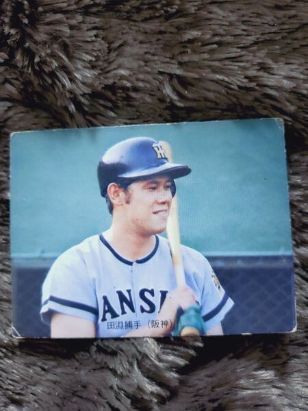 カルビー プロ野球カード 田淵幸一 物知りカード