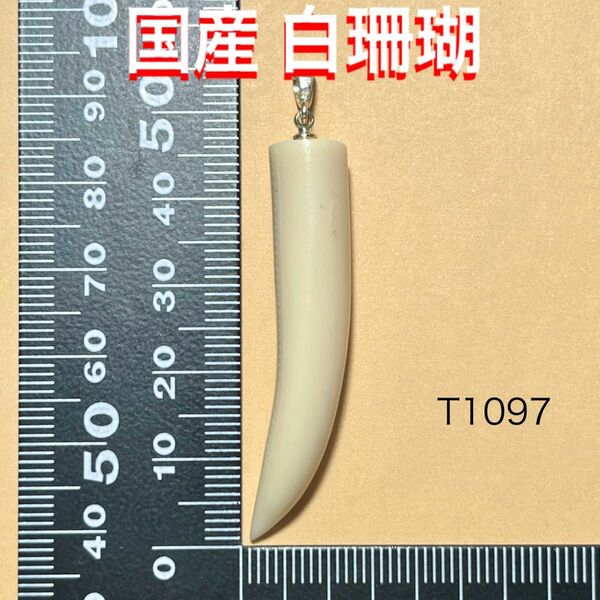 天然石 東シナ海産 白珊瑚 ペンダントトップ