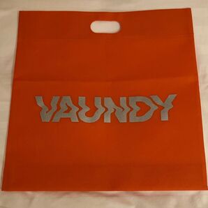 【未使用】VAUNDY グッズ購入特典バッグ