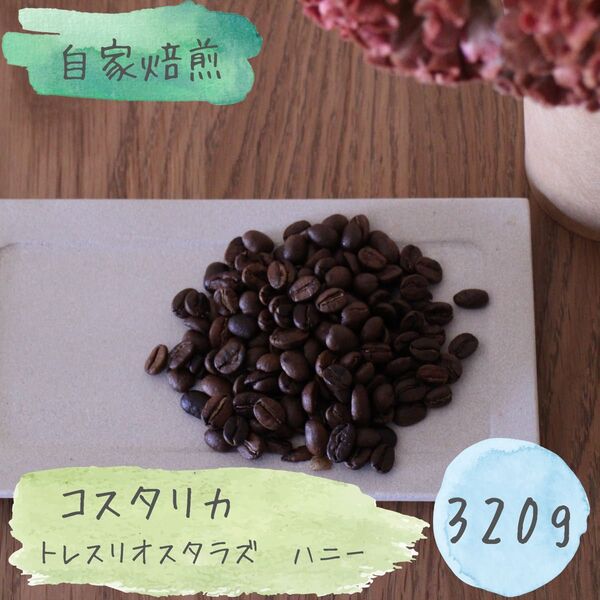 【自家焙煎】コスタリカ トレスリオス ハニー 中深煎り320g