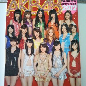 プレイボーイ スペシャルムック AKB48総選挙2012