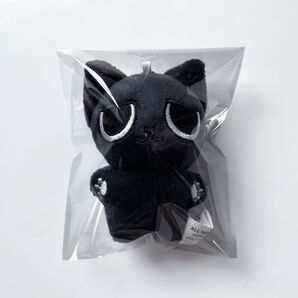 aespa エスパ カリナ ぬいぐるみ キーホルダー 10cm