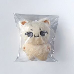 SEVENTEEN セブチ ジュン ぬいぐるみ キーホルダー 10cm
