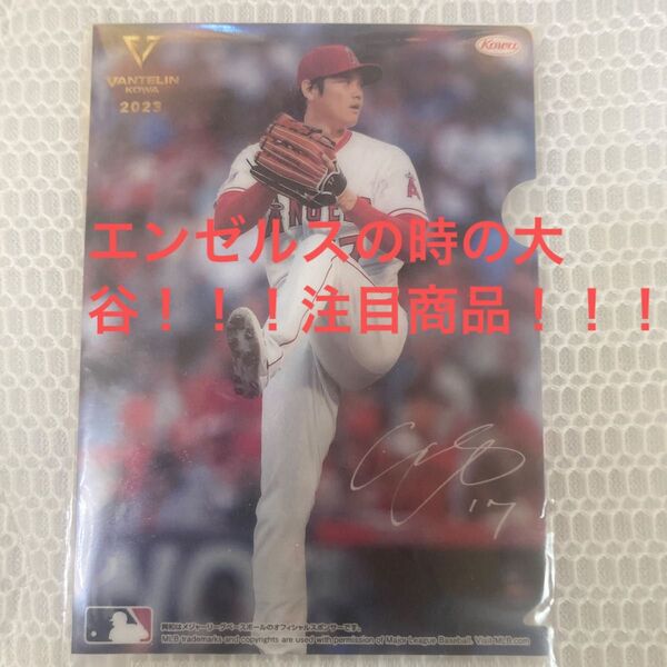 大谷翔平クリアファイル(サイン付)