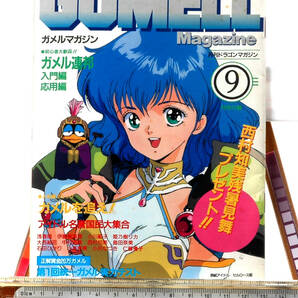 [Vintage][Delivery Free]1988 Dragon Magazine Issued Gumell Magazine(28P)Mikimoto Haruhiko/Ryuusuke Mita　ガメルマガジン[tag1111]