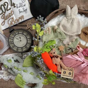 11月7日~9日(2泊3日レンタ)ニューボーンフォトレンタル☆女の子