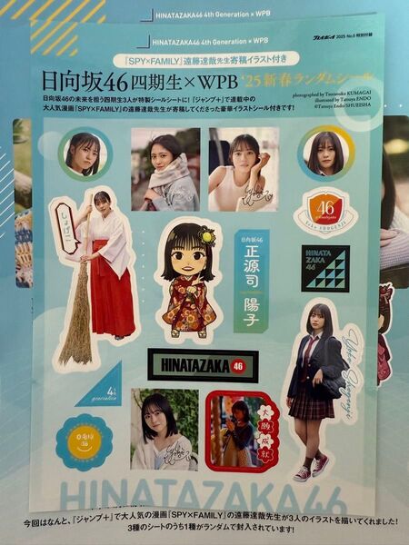 週刊プレイボーイ 付録日向坂46 ランダムシールステッカー正源司陽子 SPY x FAMILY 遠藤達哉先生寄稿イラスト付き