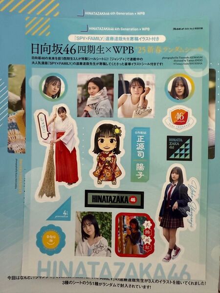 週刊プレイボーイ 付録日向坂46 ランダムシールステッカー正源司陽子 SPY x FAMILY 遠藤達哉先生寄稿イラスト付き②