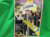 宝塚歌劇 月組公演ミュージカル『LUNA～月の伝言』パンフレット 真琴つばさ・檀れい・紫吹淳 2000年 イリュージョン 月明かりの赤い花_画像7