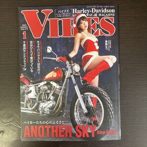 VIBES(バイブズ) 2025年1月号 (源)