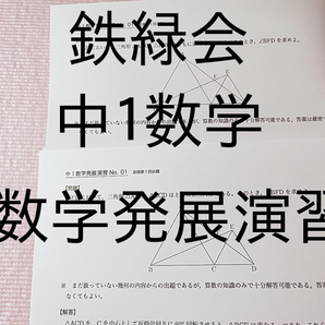 鉄緑会 中1 数学基礎講座 発展演習 問題&解答 2023年度 フル 駿台 河合塾 東進 SEG Z会