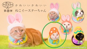  Gacha Gacha . that head gear no. 18. lovely lovely .. e-s ta- Chan orange cat cartoon-character costume 