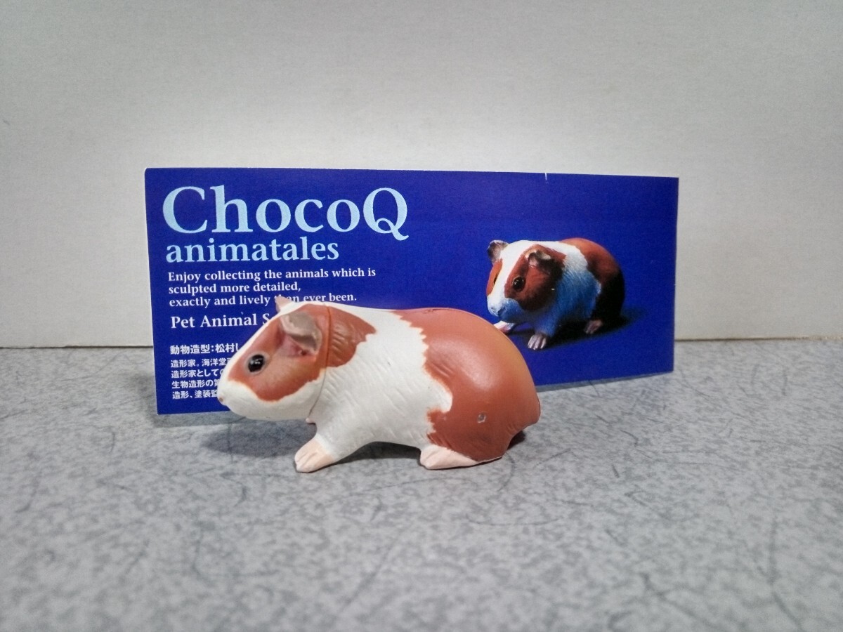 2025年最新】Yahoo!オークション - ペット動物コレクション 2025年最新】Yahoo!オークション - ペット動物コレクション