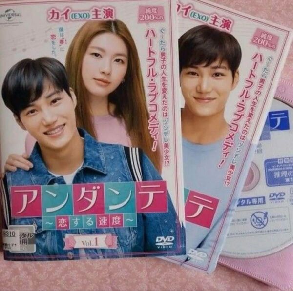 アンダンテ 恋する速度 全13巻 韓国ドラマDVD