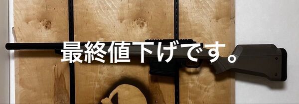 ARES AMOEBA ストライカー AS01