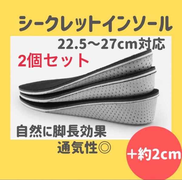 2セット 約2センチシークレット インソール中敷 男女兼用 かかと 靴 22.5~27