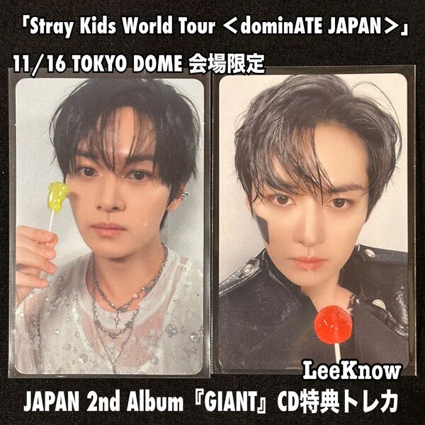 StrayKids スキズ リノ GIANT 東京 11/6 会場 限定 トレカ