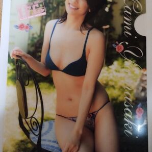 クリアファイル B5サイズ 雑誌付録 山崎真美