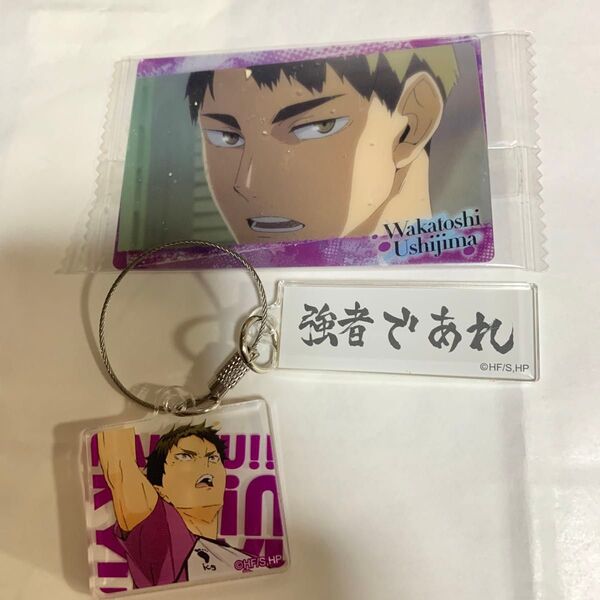 ハイキュー ウエハース トレーディングアクリル2連キーホルダー 牛島若利