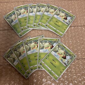 ポケカ ポケモンカード ナエトル ノーマル まとめ売り