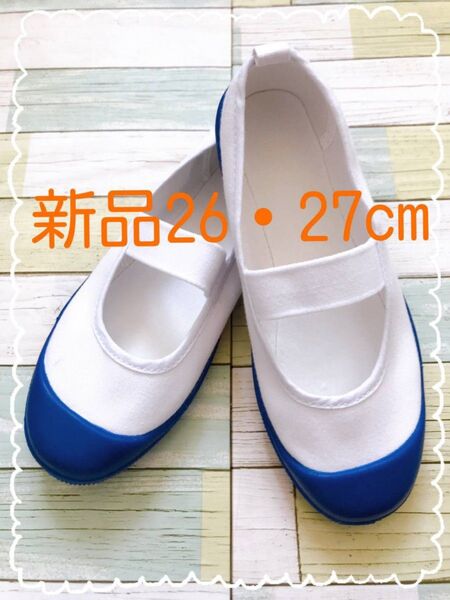 上履き 上靴 青 26・27cm 新品