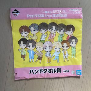 Seventeen ハンドタオル 一番くじ ウォヌ wonwoo Petiteen