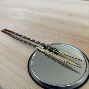 【高評価なので再セール品】ソイルスティック2本売り ノーマル③(長さ約20cm)