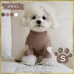 新品 犬服 S ブラウン ハート かわいい 袖 小型犬 ペット インスタ 茶