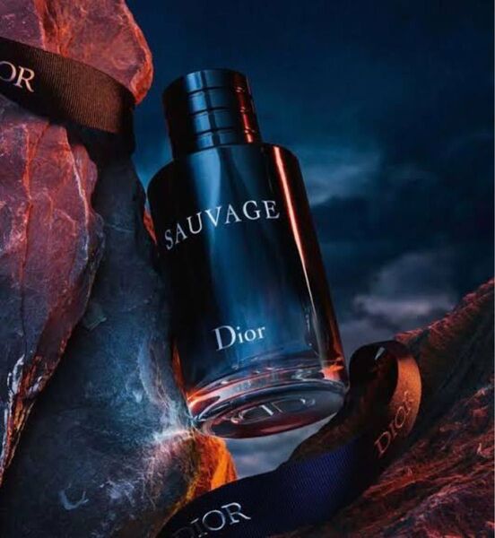DIORソバージュ 500
